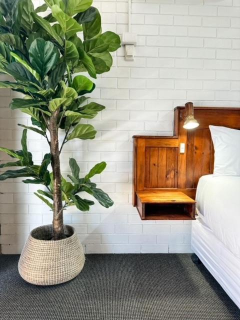 Pacific Sun Bargara Motel Kültér fotó